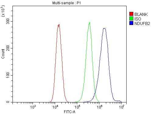 Figure 5. Flow Cytometry analysis of 293T cells using anti-NDUFB2 antibody (A13719-1). Overlay histogram showing 293T cells stained with A13719-1 (Blue line). To facilitate intracellular staining, cells were fixed with 4% paraformaldehyde and permeabilized with permeabilization buffer. The cells were blocked with 10% normal goat serum. And then incubated with rabbit anti-NDUFB2 Antibody (A13719-1, 1microg/1x106 cells) for 30 min at 20°C. DyLight®488 conjugated goat anti-rabbit IgG (BA1127, 5-10microg/1x106 cells) was used as secondary antibody for 30 minutes at 20°C. Isotype control antibody (Green line) was rabbit IgG (1microg/1x106) used under the same conditions. Unlabelled sample without incubation with primary antibody and secondary antibody (Red line) was used as a blank control. Figure 5. Flow Cytometry analysis of 293T cells using anti-NDUFB2 antibody (A13719-1). Overlay histogram showing 293T cells stained with A13719-1 (Blue line). To facilitate intracellular staining, cells were fixed with 4% paraformaldehyde and permeabilized with permeabilization buffer. The cells were blocked with 10% normal goat serum. And then incubated with rabbit anti-NDUFB2 Antibody (A13719-1, 1microg/1x106 cells) for 30 min at 20°C. DyLight®488 conjugated goat anti-rabbit IgG (BA1127, 5-10microg/1x106 cells) was used as secondary antibody for 30 minutes at 20°C. Isotype control antibody (Green line) was rabbit IgG (1microg/1x106) used under the same conditions. Unlabelled sample without incubation with primary antibody and secondary antibody (Red line) was used as a blank control.