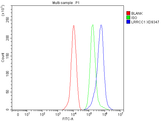 Flow Cytometry analysis of THP-1 cells using anti-LRRCC1 antibody (A13749)