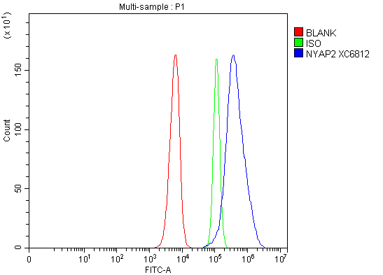 a13773 1 nyap2 primary antibodies fcm testing 1