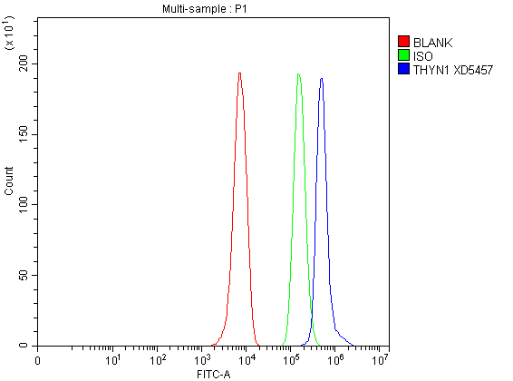 a13785 1 thyn1 primary antibodies fcm testing 1