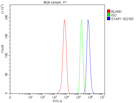 a13920 2 syap1 primary antibodies fcm testing 4