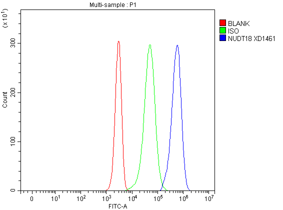  Flow Cytometry analysis of Jurkat cells using anti-NUDT18 antibody (A14058-2)