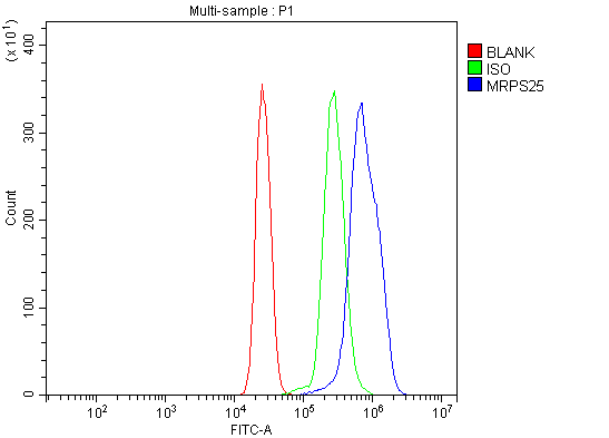 a14080 3 mrps25 primary antibodies fcm testing 12