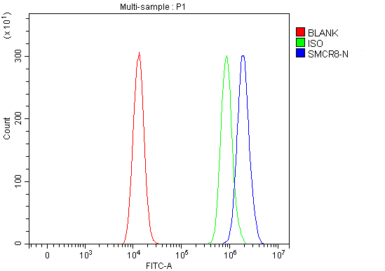 Figure 2. Flow Cytometry analysis of HEL cells using anti-SMCR8 antibody (A14158-1). Overlay histogram showing HEL cells stained with A14158-1 (Blue line). To facilitate intracellular staining, cells were fixed with 4% paraformaldehyde and permeabilized with permeabilization buffer. The cells were blocked with 10% normal goat serum. And then incubated with rabbit anti-SMCR8 Antibody (A14158-1, 1 microg/1x106 cells) for 30 min at 20°C. DyLight®488 conjugated goat anti-rabbit IgG (BA1127, 5-10 microg/1x106 cells) was used as secondary antibody for 30 minutes at 20°C. Isotype control antibody (Green line) was rabbit IgG (1 microg/1x106) used under the same conditions. Unlabelled sample without incubation with primary antibody and secondary antibody (Red line) was used as a blank control.