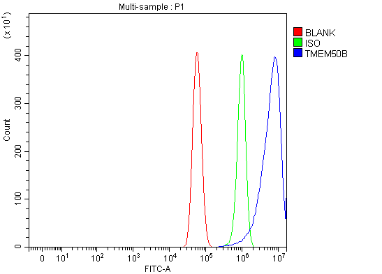 a14199 1 tmem50b primary antibodies fcm testing 3