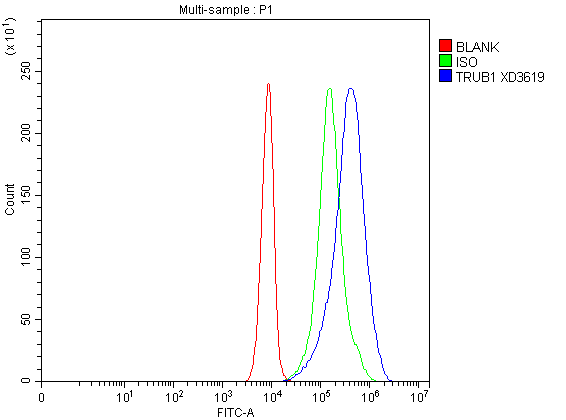 a14207 1 trub1 primary antibodies fcm testing 1