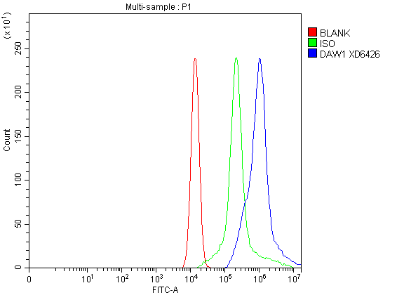 Flow Cytometry analysis of A549 cells using anti-DAW1 antibody (A14217)