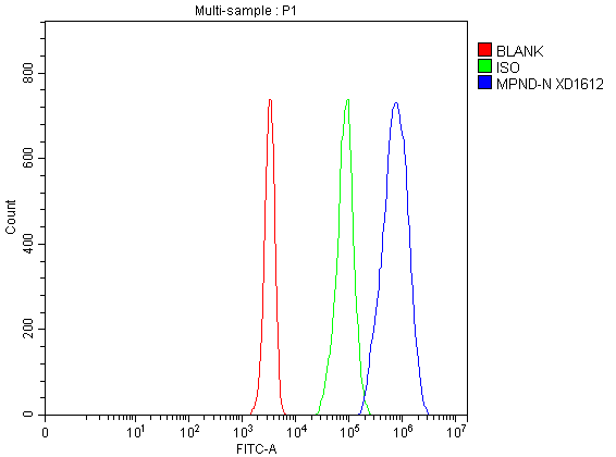  Flow Cytometry analysis of Jurkat cells using anti-MPND antibody (A14225-2)