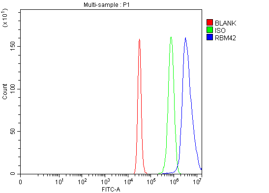 a14229 1 rbm42 primary antibodies fcm testing 8