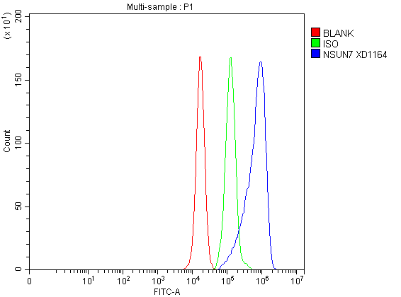  Flow Cytometry analysis of PC-3 cells using anti-NSUN7 antibody (A14267)