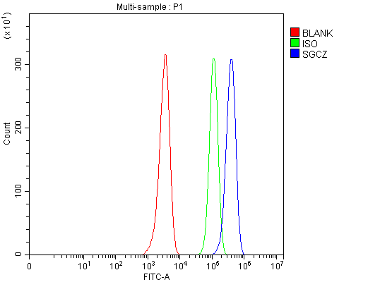 a14271 2 sgcz primary antibodies fcm testing 2