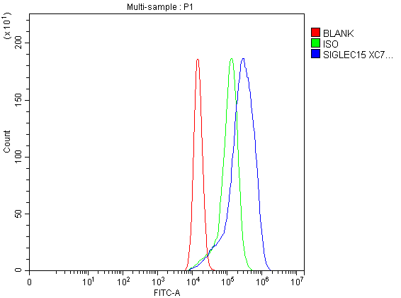 Flow Cytometry analysis of A549 cells using anti-SIGLEC15 antibody (A14323-1)