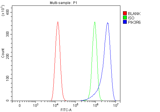 Figure 2. Flow Cytometry analysis of HEL cells using anti-PIK3R6 antibody (A14338-1). Overlay histogram showing HEL cells stained with A14338-1 (Blue line). To facilitate intracellular staining, cells were fixed with 4% paraformaldehyde and permeabilized with permeabilization buffer. The cells were blocked with 10% normal goat serum. And then incubated with rabbit anti-PIK3R6 Antibody (A14338-1, 1 microg/1x106 cells) for 30 min at 20°C. DyLight®488 conjugated goat anti-rabbit IgG (BA1127, 5-10 microg/1x106 cells) was used as secondary antibody for 30 minutes at 20°C. Isotype control antibody (Green line) was rabbit IgG (1 microg/1x106) used under the same conditions. Unlabelled sample without incubation with primary antibody and secondary antibody (Red line) was used as a blank control.