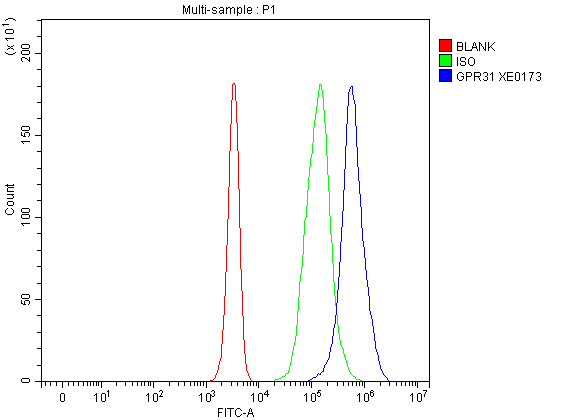 a14413 1 gpr31 primary antibodies fcm testing 1