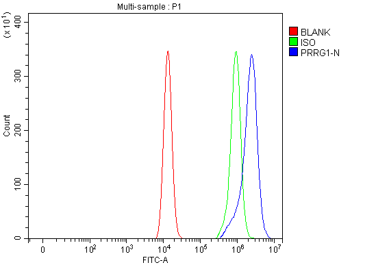 a14451 1 prrg1 primary antibodies fcm testing 2