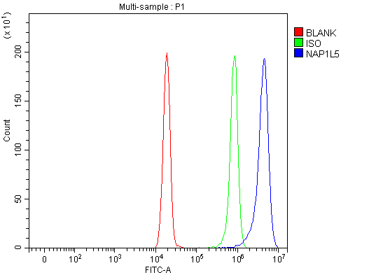Figure 3. Flow Cytometry analysis of Hela cells using anti-NAP1L5 antibody (A14492-1). Overlay histogram showing Hela cells stained with A14492-1 (Blue line). To facilitate intracellular staining, cells were fixed with 4% paraformaldehyde and permeabilized with permeabilization buffer. The cells were blocked with 10% normal goat serum. And then incubated with rabbit anti-NAP1L5 Antibody (A14492-1, 1 microg/1x106 cells) for 30 min at 20°C. DyLight®488 conjugated goat anti-rabbit IgG (BA1127, 5-10 microg/1x106 cells) was used as secondary antibody for 30 minutes at 20°C. Isotype control antibody (Green line) was rabbit IgG (1 microg/1x106) used under the same conditions. Unlabelled sample (Red line) was also used as a control.