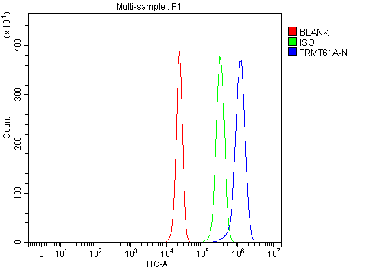 a14512 1 trmt61a primary antibodies fcm testing 21
