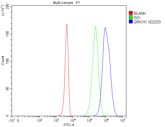  Flow Cytometry analysis of 293T cells using anti-QRICH1 antibody (A14513-1)