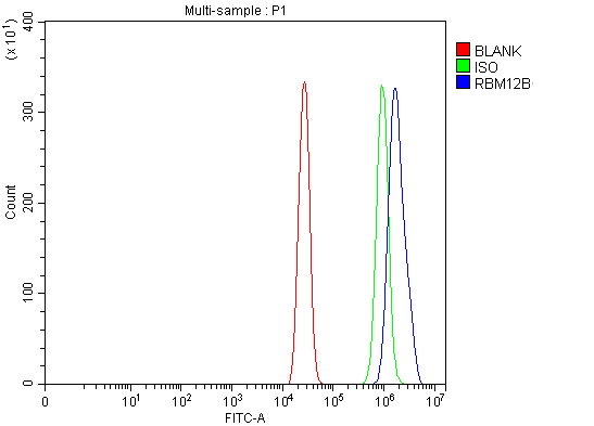 Figure 3. Flow Cytometry analysis of A431 cells using anti-RBM12B antibody (A14571-1). Overlay histogram showing A431 cells stained with A14571-1 (Blue line). To facilitate intracellular staining, cells were fixed with 4% paraformaldehyde and permeabilized with permeabilization buffer. The cells were blocked with 10% normal goat serum. And then incubated with rabbit anti-RBM12B Antibody (A14571-1, 1 microg/1x106 cells) for 30 min at 20°C. DyLight®488 conjugated goat anti-rabbit IgG (BA1127, 5-10 microg/1x106 cells) was used as secondary antibody for 30 minutes at 20°C. Isotype control antibody (Green line) was rabbit IgG (1 microg/1x106) used under the same conditions. Unlabelled sample (Red line) was also used as a control. Figure 3. Flow Cytometry analysis of A431 cells using anti-RBM12B antibody (A14571-1). Overlay histogram showing A431 cells stained with A14571-1 (Blue line). To facilitate intracellular staining, cells were fixed with 4% paraformaldehyde and permeabilized with permeabilization buffer. The cells were blocked with 10% normal goat serum. And then incubated with rabbit anti-RBM12B Antibody (A14571-1, 1 microg/1x106 cells) for 30 min at 20°C. DyLight®488 conjugated goat anti-rabbit IgG (BA1127, 5-10 microg/1x106 cells) was used as secondary antibody for 30 minutes at 20°C. Isotype control antibody (Green line) was rabbit IgG (1 microg/1x106) used under the same conditions. Unlabelled sample (Red line) was also used as a control.