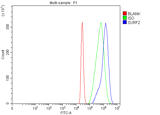 Figure 3. Flow Cytometry analysis of U937 cells using anti-SURF2 antibody (A14641). Overlay histogram showing U937 cells stained with A14641 (Blue line). To facilitate intracellular staining, cells were fixed with 4% paraformaldehyde and permeabilized with permeabilization buffer. The cells were blocked with 10% normal goat serum. And then incubated with rabbit anti-SURF2 Antibody (A14641, 1 microg/1x106 cells) for 30 min at 20°C. DyLight®488 conjugated goat anti-rabbit IgG (BA1127, 5-10 microg/1x106 cells) was used as secondary antibody for 30 minutes at 20°C. Isotype control antibody (Green line) was rabbit IgG (1 microg/1x106) used under the same conditions. Unlabelled sample without incubation with primary antibody and secondary antibody (Red line) was used as a blank control.