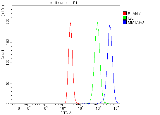 Figure 2. Flow Cytometry analysis of MCF-7 cells using anti-C1orf35/MMTAG2 antibody (A14711-1). Overlay histogram showing MCF-7 cells stained with A14711-1 (Blue line). The cells were fixed with 4% paraformaldehyde and blocked with 10% normal goat serum. And then incubated with rabbit anti-C1orf35/MMTAG2 Antibody (A14711-1, 1 microg/1x106 cells) for 30 min at 20°C. DyLight®488 conjugated goat anti-rabbit IgG (BA1127, 5-10 microg/1x106 cells) was used as secondary antibody for 30 minutes at 20°C. Isotype control antibody (Green line) was rabbit IgG (1 microg/1x106) used under the same conditions. Unlabelled sample (Red line) was also used as a control.