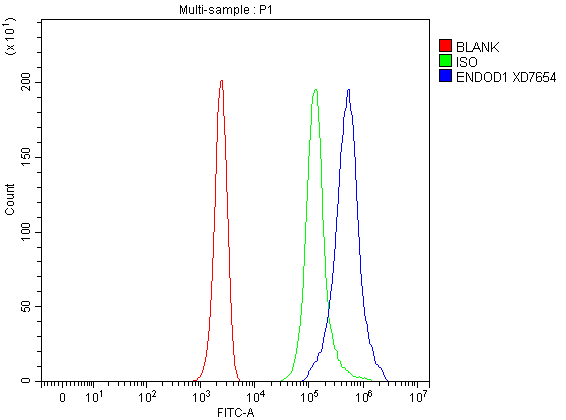 a14829 1 endod1 primary antibodies fcm testing 1