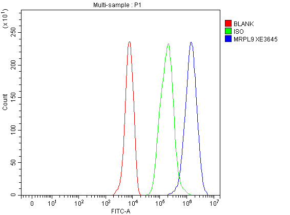 a14845 1 mrpl9 primary antibodies fcm testing 1