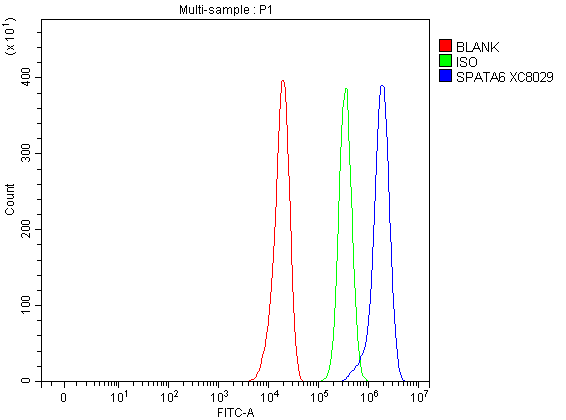 a14863 1 spata6 primary antibodies fcm testing 1