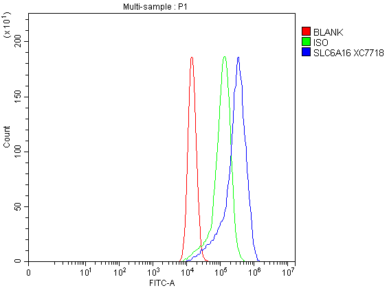 Flow Cytometry analysis of A549 cells using anti-SLC6A16 antibody (A14901-2)