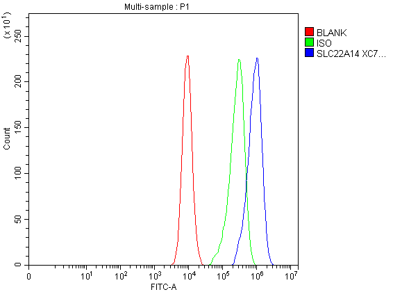 a15035 2 slc22a14 primary antibodies fcm testing 1