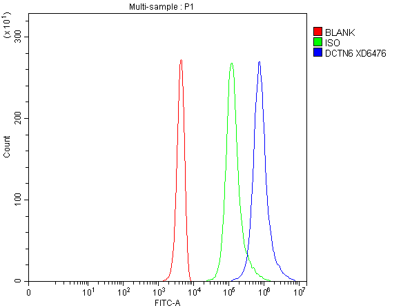a15043 dctn6 primary antibodies fcm testing 1