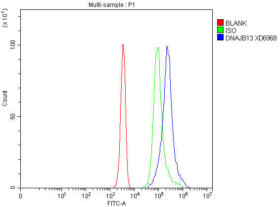 a15137 dnajb13 primary antibodies fcm testing 1