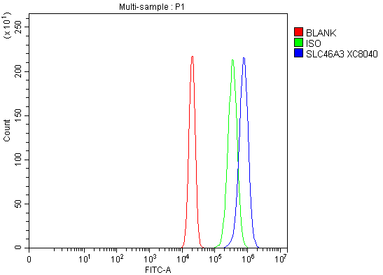 a15198 2 slc46a3 primary antibodies fcm testing 1