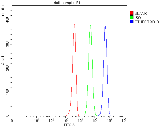  Flow Cytometry analysis of 293T cells using anti-OTUD6B antibody (A15219)