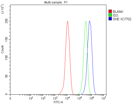 a15256 1 she primary antibodies fcm testing 1