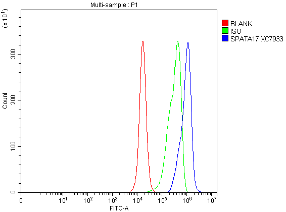 a15320 1 spata17 primary antibodies fcm testing 1
