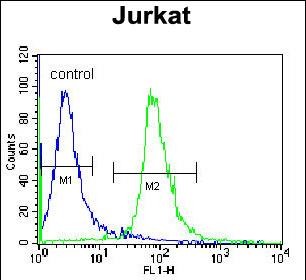 a15336 anti rsbn1 antibody n term fc testing 7