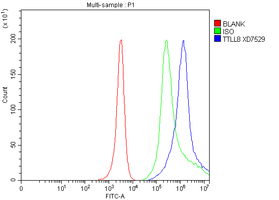 a15489 ttll8 primary antibodies fcm testing 1