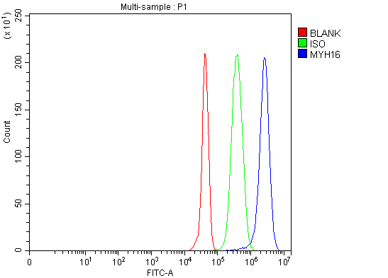 a15498 myh16 primary antibodies fcm testing 3