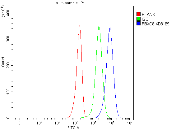 a15576 1 fbxo8 primary antibodies fcm testing 1