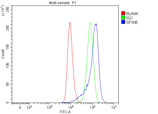 a15698 1 sfxn5 primary antibodies fcm testing 12_1