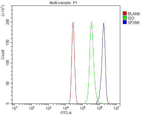 a15698 1 sfxn5 primary antibodies fcm testing 13