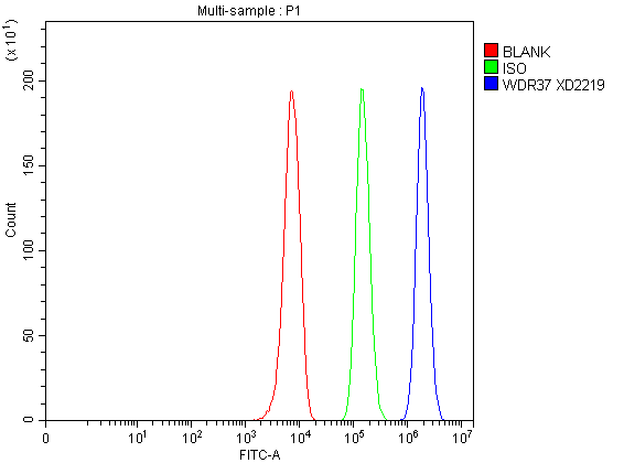 a15752 1 wdr37 primary antibodies fcm testing 2