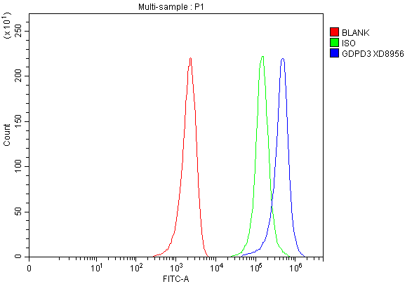 a16040 1 gdpd3 primary antibodies fcm testing 1