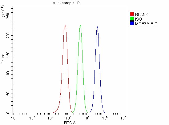 a16079 3 mob3abc primary antibodies fcm testing 2