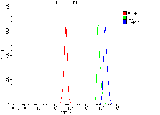 Figure 2. Flow Cytometry analysis of SH-SY5Y cells using anti-PHF24 antibody (A16087-1). Overlay histogram showing SH-SY5Y cells stained with A16087-1 (Blue line). To facilitate intracellular staining, cells were fixed with 4% paraformaldehyde and permeabilized with permeabilization buffer. The cells were blocked with 10% normal goat serum. And then incubated with rabbit anti-PHF24 Antibody (A16087-1, 1 microg/1x106 cells) for 30 min at 20°C. DyLight®488 conjugated goat anti-rabbit IgG (BA1127, 5-10 microg/1x106 cells) was used as secondary antibody for 30 minutes at 20°C. Isotype control antibody (Green line) was rabbit IgG (1 microg/1x106) used under the same conditions. Unlabelled sample (Red line) was also used as a control.