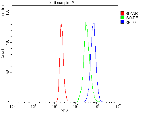 Figure 2. Flow Cytometry analysis of HL-60 cells using anti-RNF44 antibody (A16090-1). Overlay histogram showing HL-60 cells stained with A16090-1 (Blue line). To facilitate intracellular staining, cells were fixed with 4% paraformaldehyde and permeabilized with permeabilization buffer. The cells were blocked with 10% normal goat serum. And then incubated with rabbit anti-RNF44 Antibody (A16090-1, 1 microg/1x106 cells) for 30 min at 20°C. PE conjugated goat anti-rabbit IgG (5-10 microg/1x106 cells) was used as secondary antibody for 30 minutes at 20°C. Isotype control antibody (Green line) was rabbit IgG (1 microg/1x106) used under the same conditions. Unlabelled sample without incubation with primary antibody and secondary antibody (Red line) was used as a blank control.