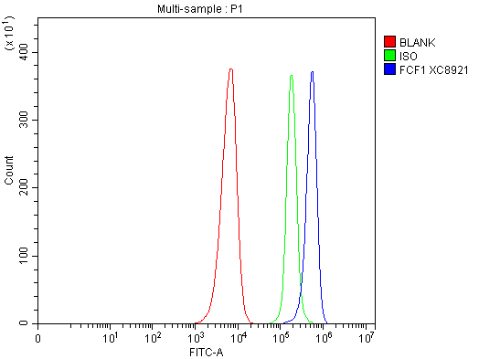 a16298 fcf1 primary antibodies fcm testing 1