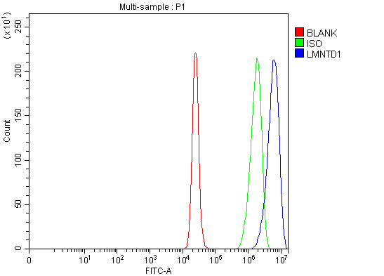 Figure 2. Flow Cytometry analysis of RT4 cells using anti-IFTLD1/LMNTD1 antibody (A16307-1). Overlay histogram showing RT4 cells stained with A16307-1 (Blue line). To facilitate intracellular staining, cells were fixed with 4% paraformaldehyde and permeabilized with permeabilization buffer. The cells were blocked with 10% normal goat serum. And then incubated with rabbit anti-IFTLD1/LMNTD1 Antibody (A16307-1, 1 microg/1x106 cells) for 30 min at 20°C. DyLight®488 conjugated goat anti-rabbit IgG (BA1127, 5-10 microg/1x106 cells) was used as secondary antibody for 30 minutes at 20°C. Isotype control antibody (Green line) was rabbit IgG (1 microg/1x106) used under the same conditions. Unlabelled sample (Red line) was also used as a control.