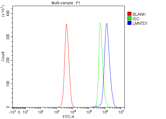 Figure 3. Flow Cytometry analysis of SH-SY5Y cells using anti-IFTLD1/LMNTD1 antibody (A16307-1). Overlay histogram showing SH-SY5Y cells stained with A16307-1 (Blue line). To facilitate intracellular staining, cells were fixed with 4% paraformaldehyde and permeabilized with permeabilization buffer. The cells were blocked with 10% normal goat serum. And then incubated with rabbit anti-IFTLD1/LMNTD1 Antibody (A16307-1, 1 microg/1x106 cells) for 30 min at 20°C. DyLight®488 conjugated goat anti-rabbit IgG (BA1127, 5-10 microg/1x106 cells) was used as secondary antibody for 30 minutes at 20°C. Isotype control antibody (Green line) was rabbit IgG (1 microg/1x106) used under the same conditions. Unlabelled sample (Red line) was also used as a control.